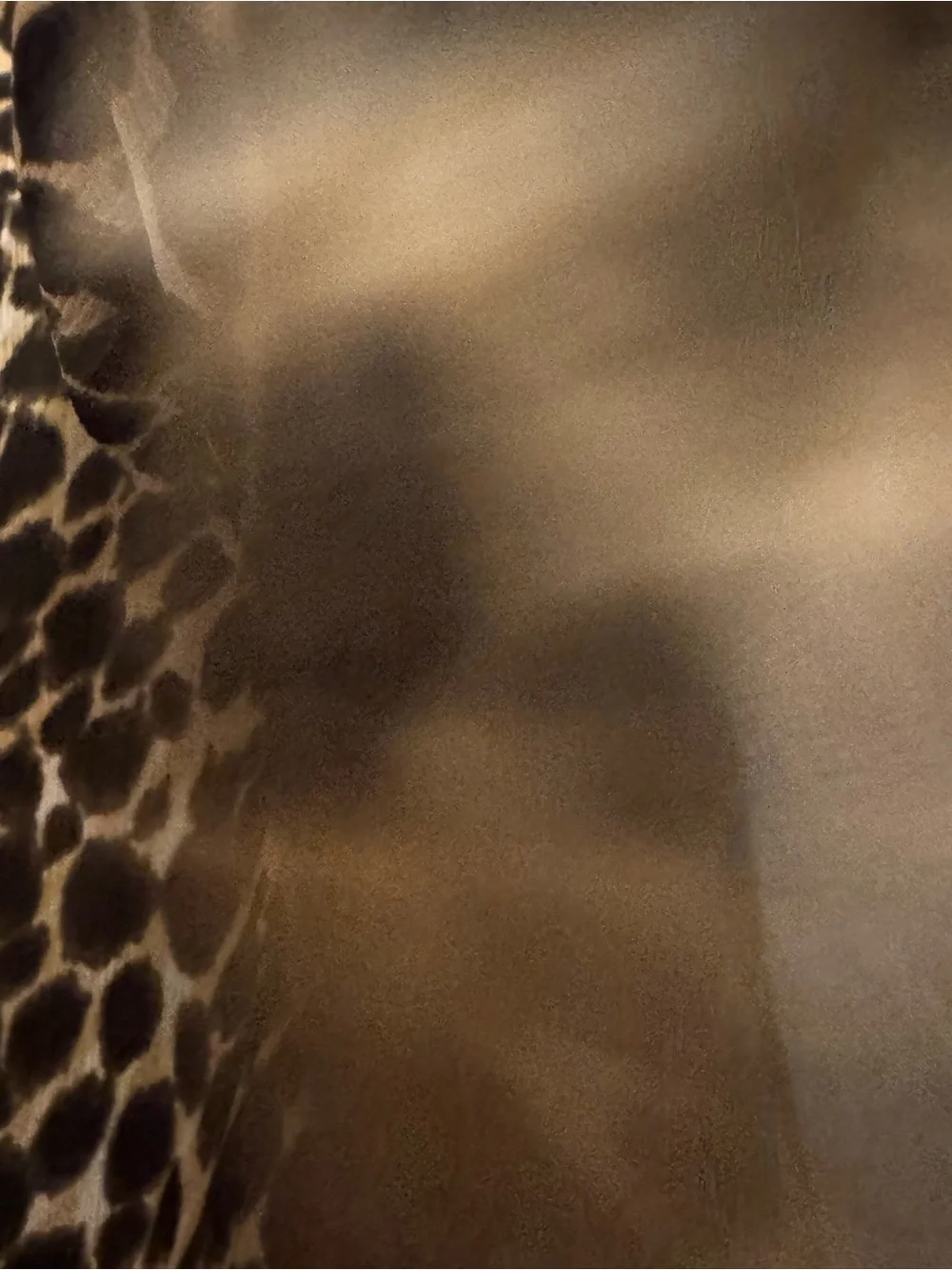 J.Crew Leopard Print Smocked Neck Long Sleeve Blouse Small Tan Black